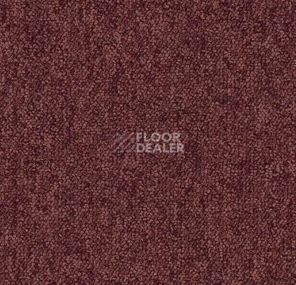 Ковровая плитка Forbo Tessera Create Space 1 1828 Garnet фото 1 | FLOORDEALER